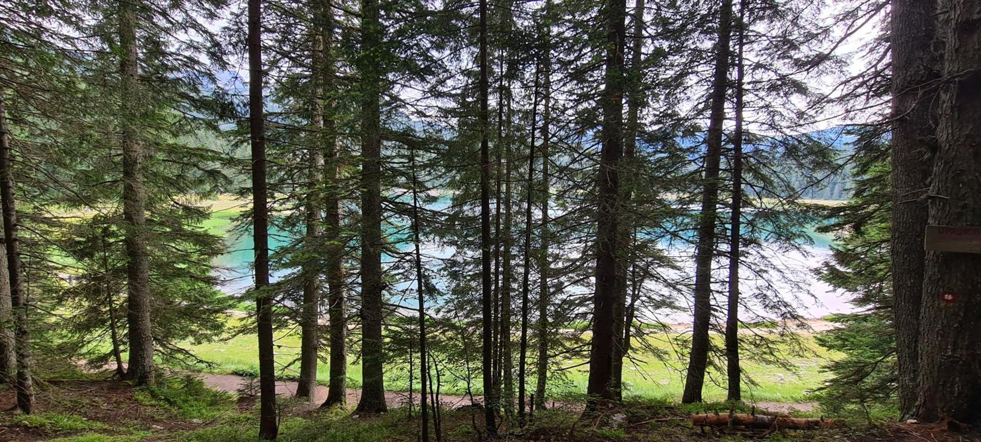 Mountain Villas Zabljak Экстерьер фото